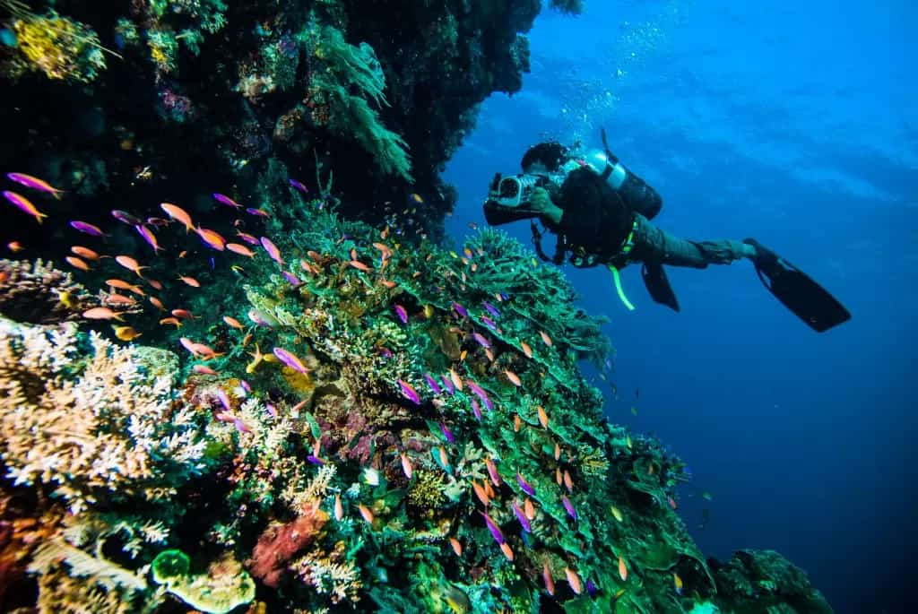 Diver Enjoying Vacation Time | Sebastus Sailing