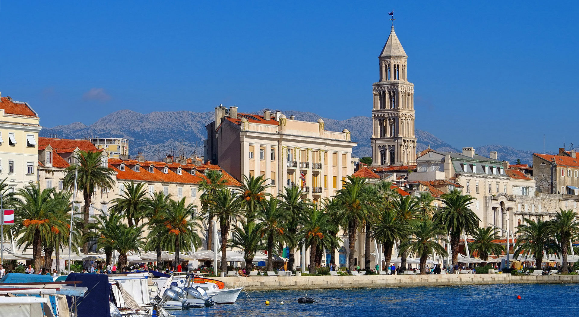 a view to Split town with palm trees in water front