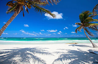 white sand beach in the Caribbean